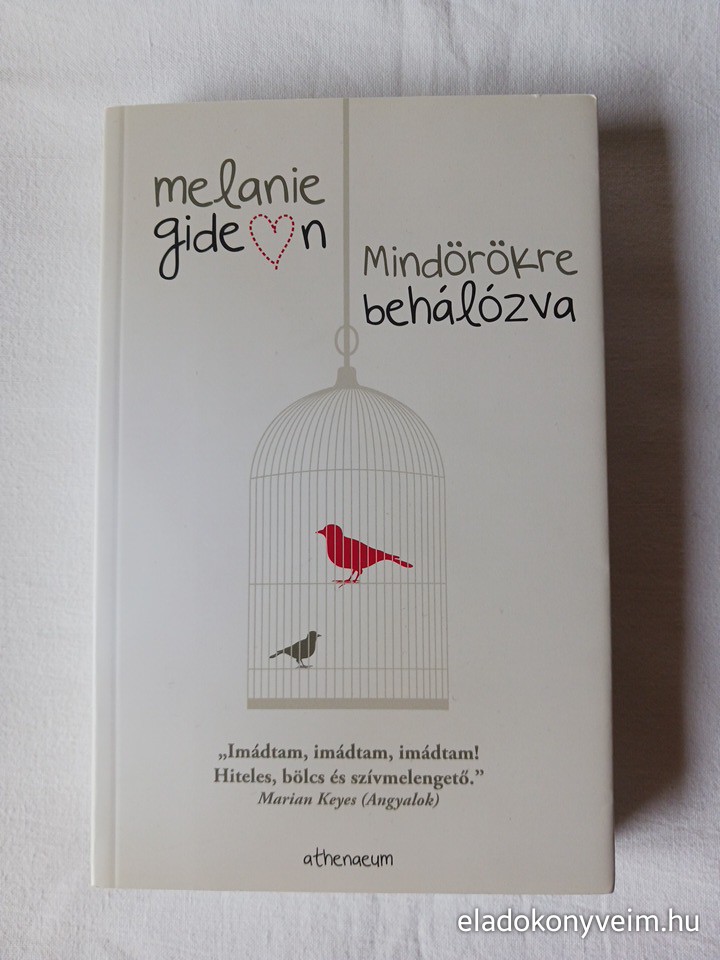 Melanie Gideon: Mindörökre behálózva - 1. kép