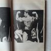Fekete Ferenc: A body building királyai - Thumbnail Image 3