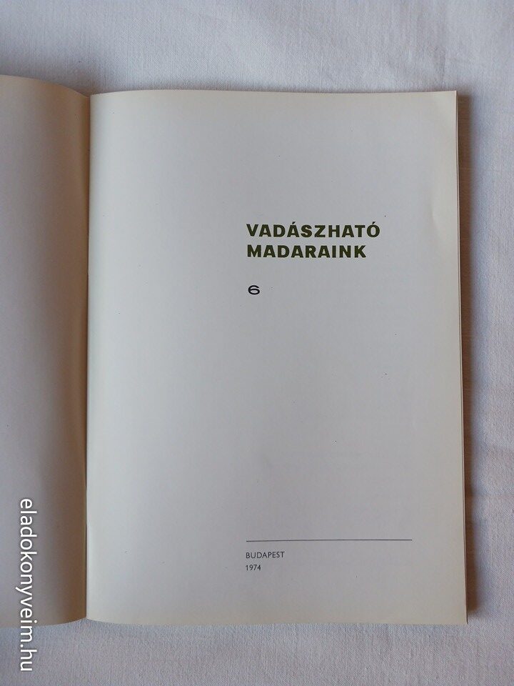 Sterbetz I., Beregszászi Gy.: Vadászható madaraink 6. - 2. kép
