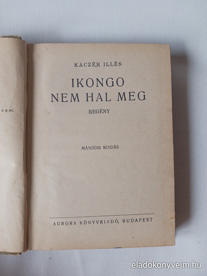 Kaczér Illés: Ikongo nem hal meg - 2. kép