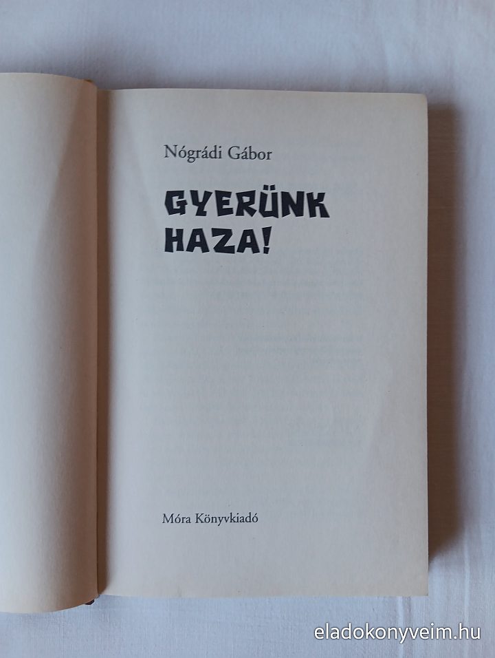 Nógrádi Gábor: Gyerünk haza! - 2. kép