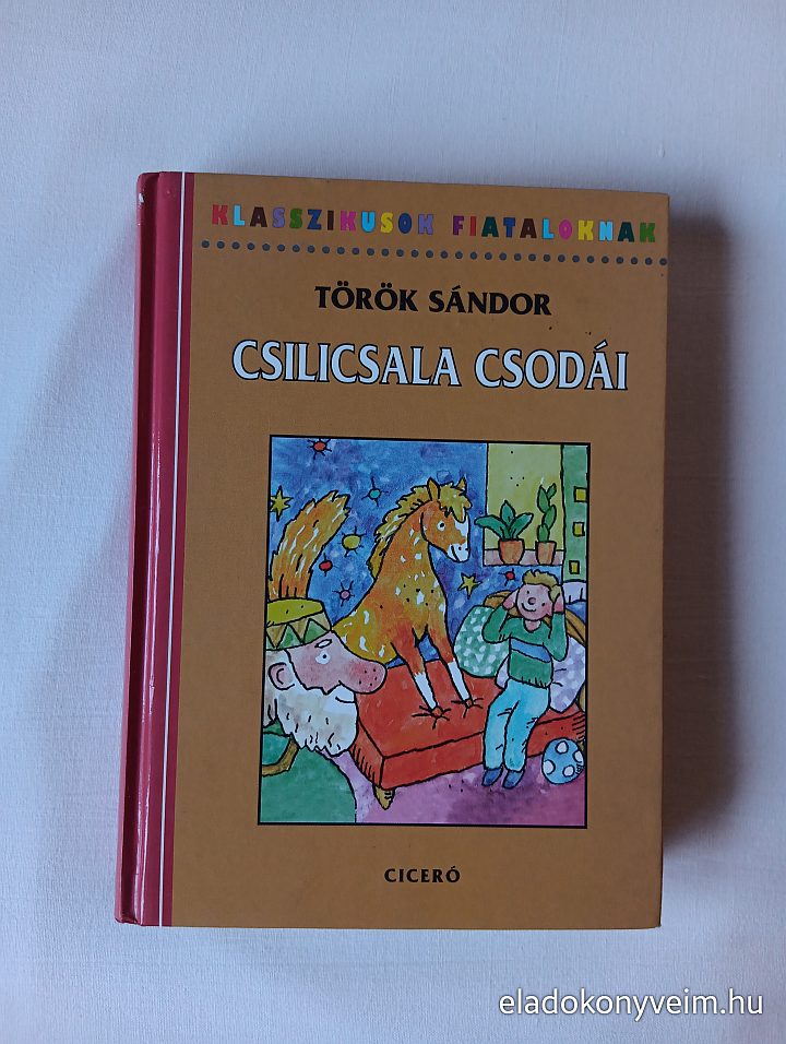 Török Sándor: Csilicsala csodái - 1. kép