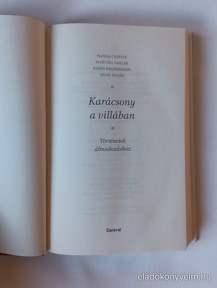H. Caspian, M. Sahler, K. Baldvinsson, A. Jacobs: Karácsony a villában - 2. kép