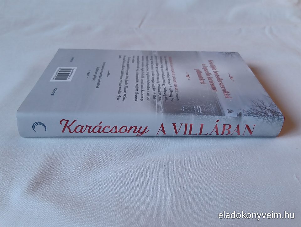 H. Caspian, M. Sahler, K. Baldvinsson, A. Jacobs: Karácsony a villában - 3. kép