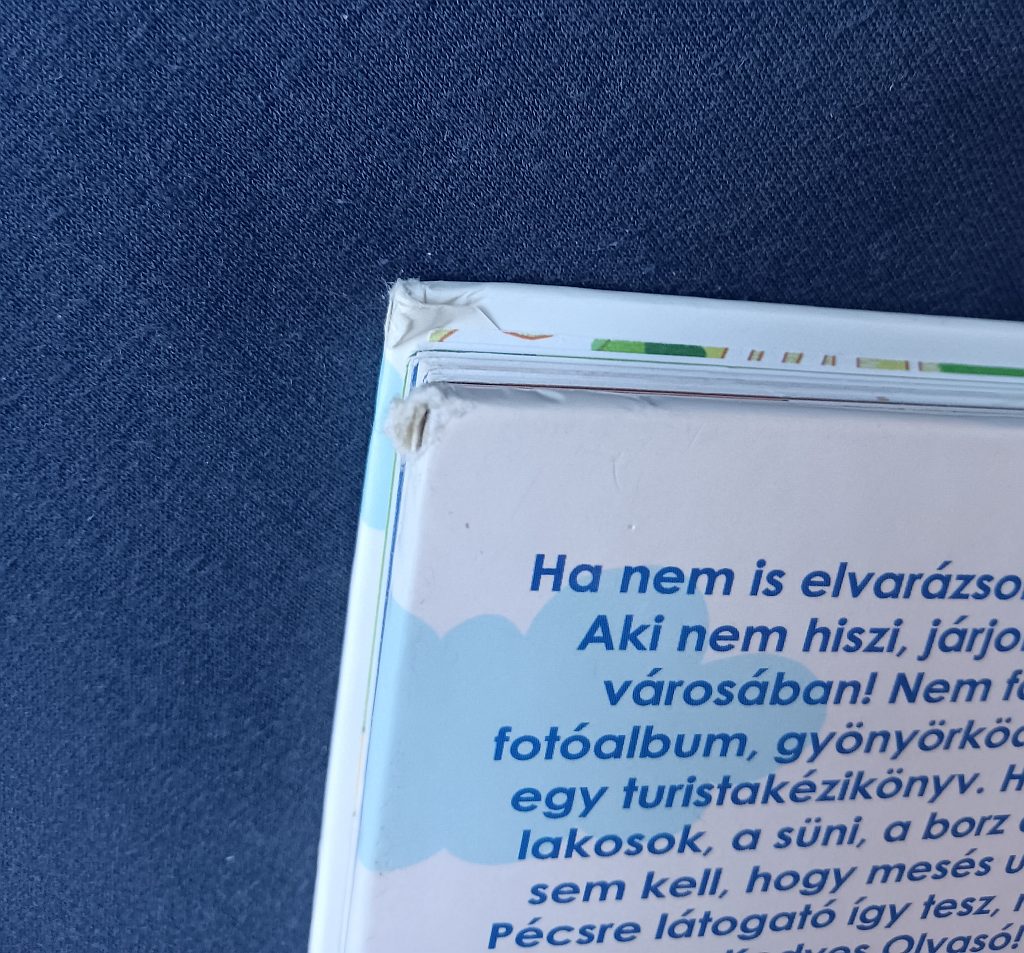 Bartos Erika: Hoppla meséi : kirándulás Pécs városában - 3. kép