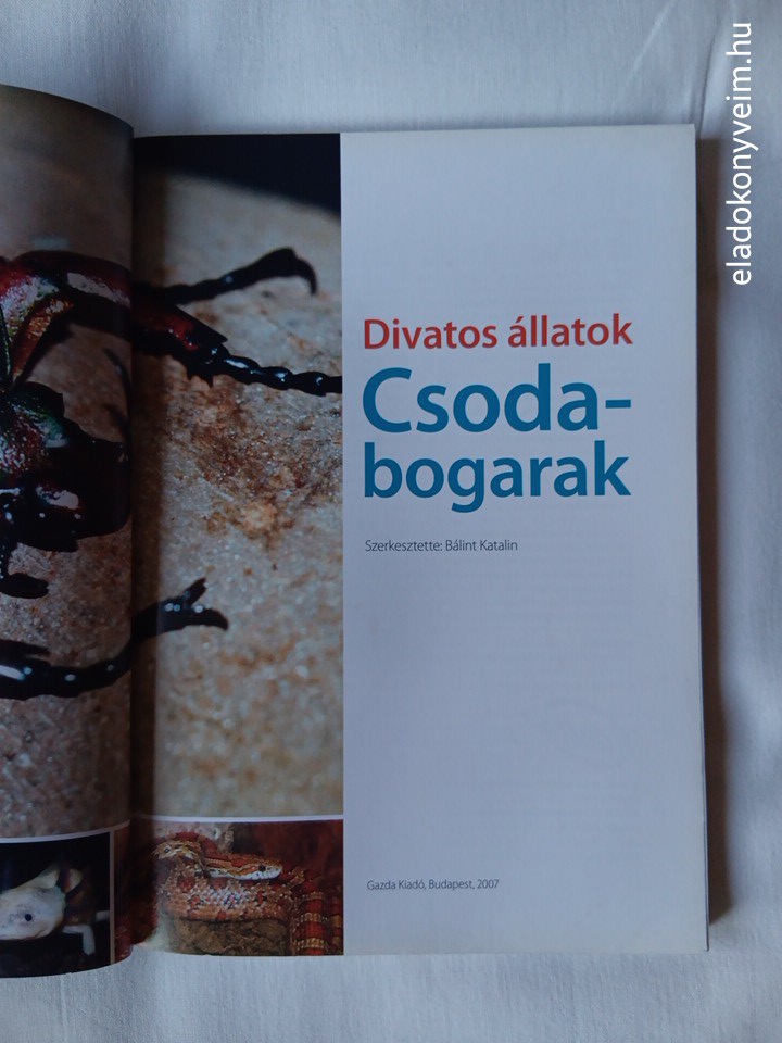 Bálint Katalin: Divatos állatok – Csodabogarak - 2. kép