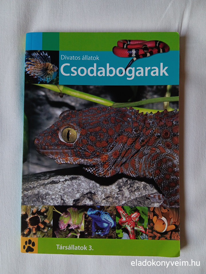 Bálint Katalin: Divatos állatok – Csodabogarak - 1. kép