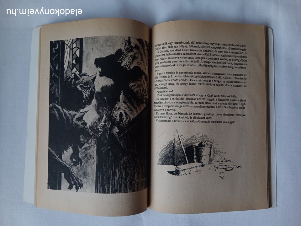 Stephen King: Ezüst pisztolygolyók - 2. kép