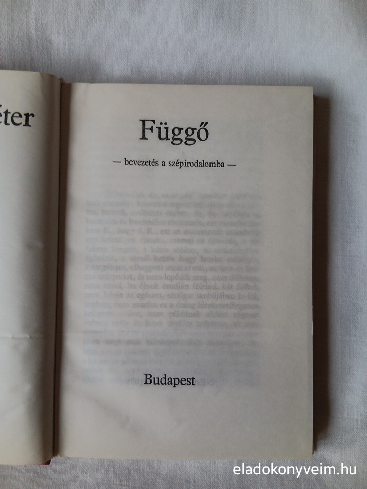 Esterházy Péter: Függő - 2. kép