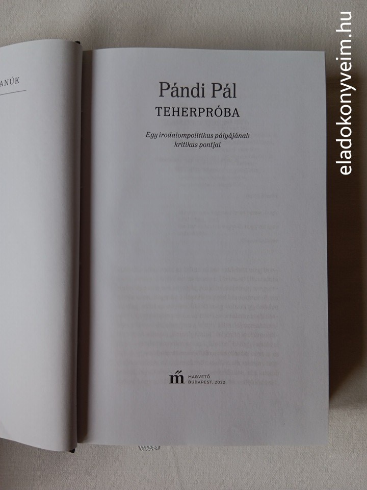 Pándi Pál: Teherpróba - 2. kép