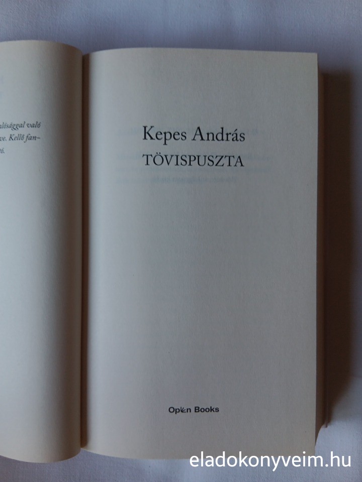 Kepes András: Tövispuszta - 4. kép
