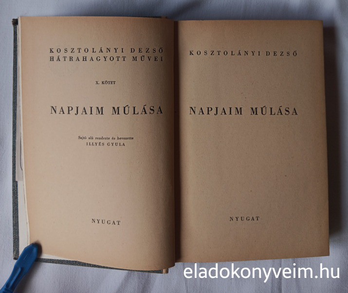 Kosztolányi Dezső: Napjaim múlása - 2. kép