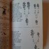 Larry Gonick, Mark Wheelis: Képregén - Thumbnail Image 2