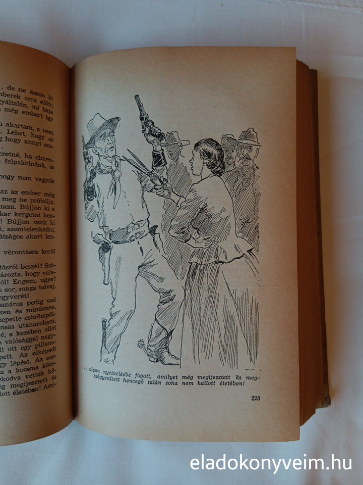 Mark Twain: Útirajzok - 3. kép