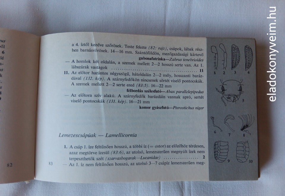 Móczár László: Kis állathatározó - 3. kép