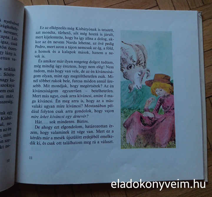 Sebők Éva: Denevérkönyv - 2. kép