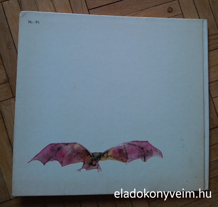 Sebők Éva: Denevérkönyv - 4. kép