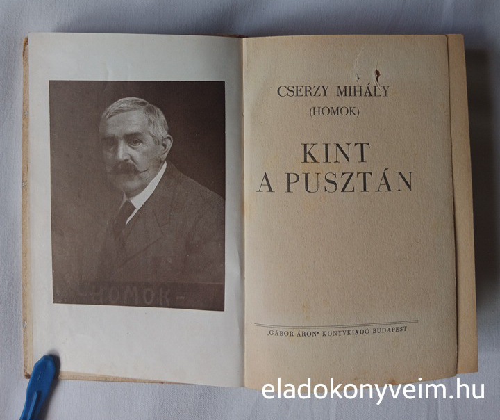 Cserzy Mihály (Homok): Kint a pusztán - 1. kép