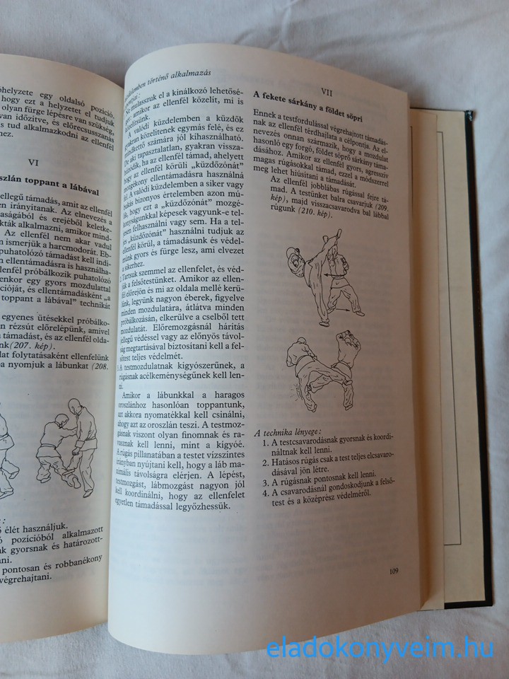 Ujvári Miklós: Kung fu-technikák és edzésmódszerek - 5. kép