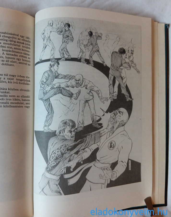 Ujvári Miklós: Kung fu-technikák és edzésmódszerek - 6. kép