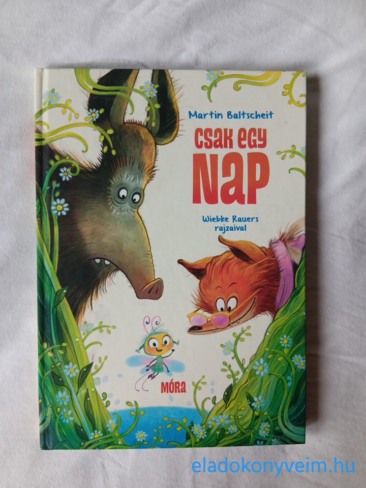 Martin Baltscheit: Csak egy nap - 1. kép