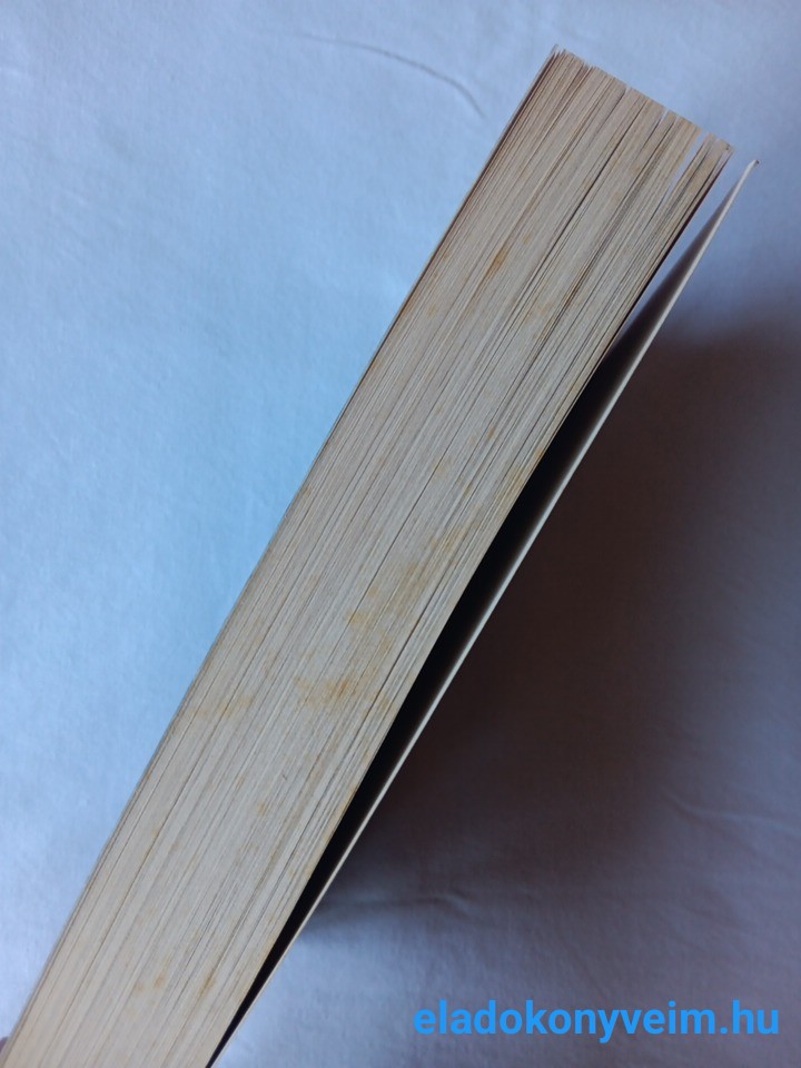 Elaine Cunningham: Széljáró - 3. kép
