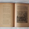 Arany lapok a magyar történelemből 1904-1905 : verses krónika az ifjúság számára - Thumbnail Image 5
