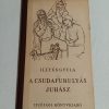 Illyés Gyula: A csudafurulyás juhász - Thumbnail Image 1