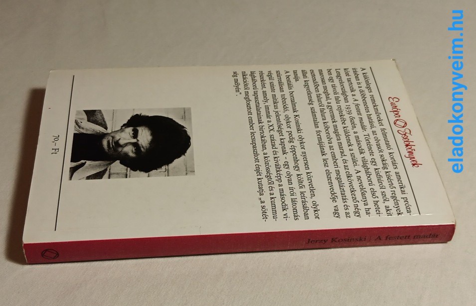 Jerzy Kosinski: A festett madár - 3. kép