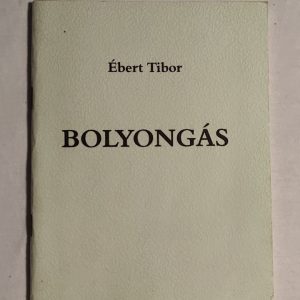 Ébert Tibor: Bolyongás