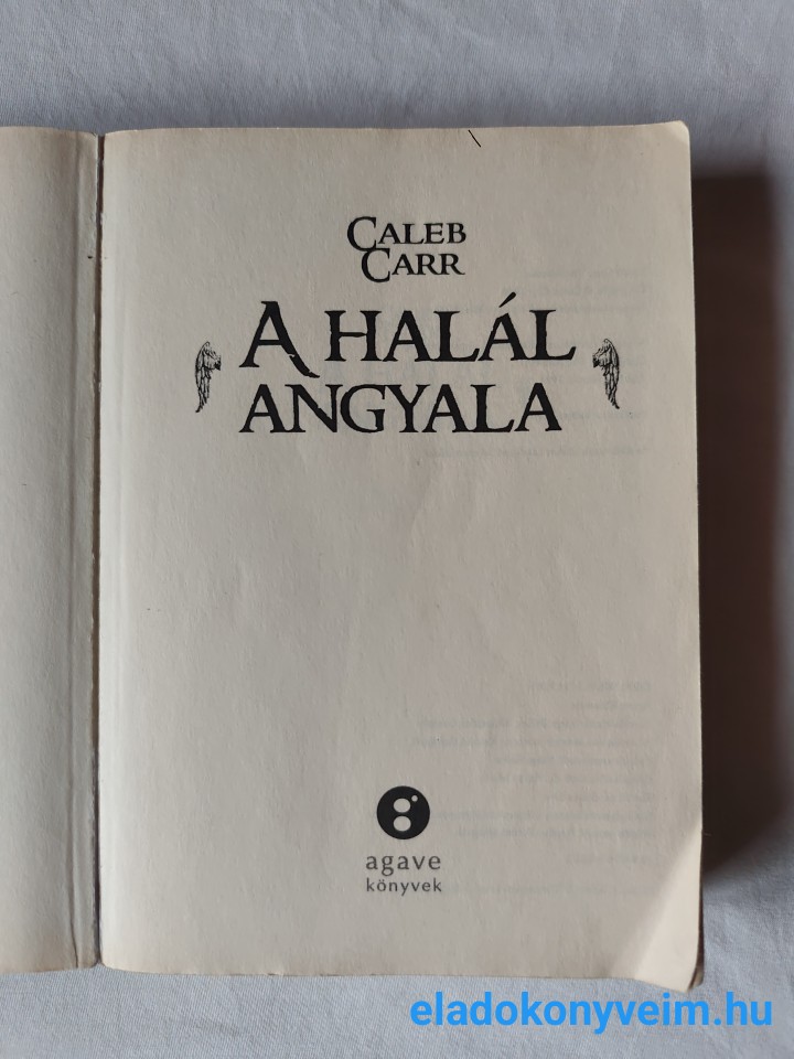 Caleb Carr: A halál angyala - 2. kép