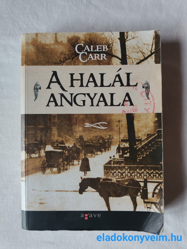 Caleb Carr: A halál angyala - 1. kép