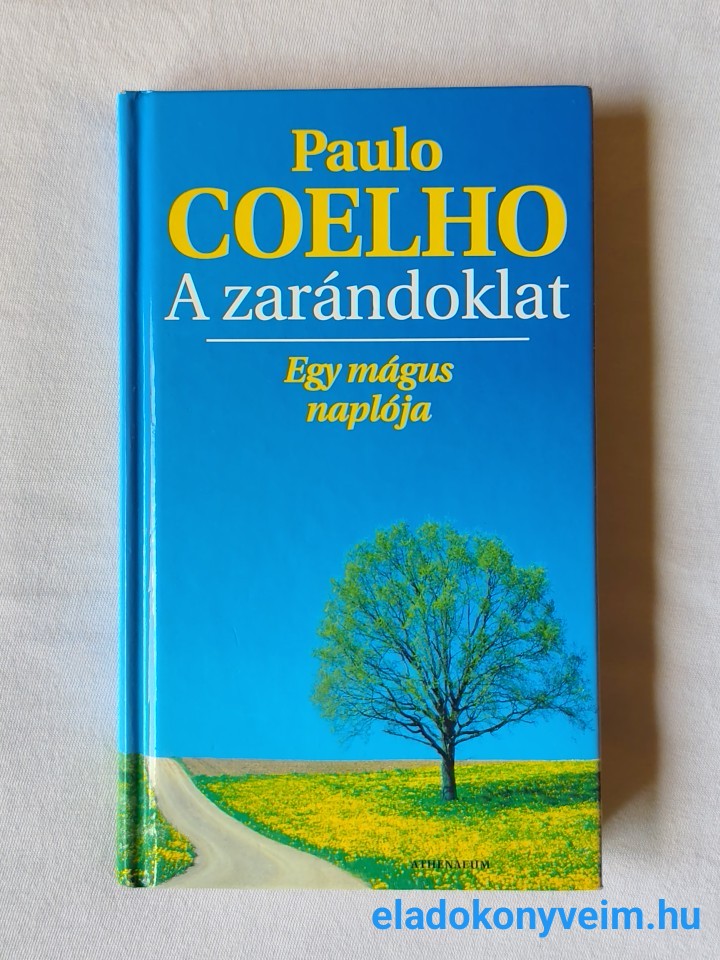 Paulo Coelho: A zarándoklat - 1. kép