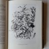 Géza Gárdonyi: Sterne von Eger - Thumbnail Image 4