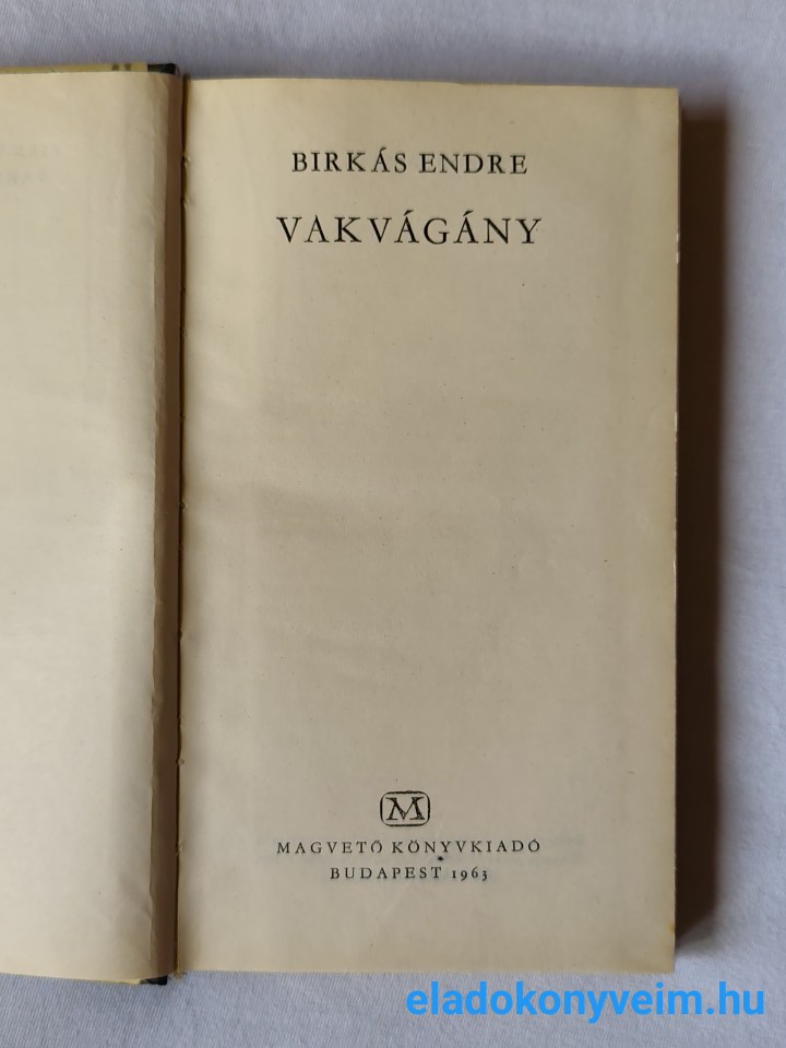 Birkás Endre: Vakvágány - 2. kép