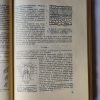 Bognár Károly (szerk.): Szőlőtermesztés homokon - Thumbnail Image 6