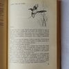 Fekete István: Barangolások - Thumbnail Image 4
