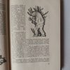 Anna Seghers: A hetedik kereszt (számozott) - Thumbnail Image 5